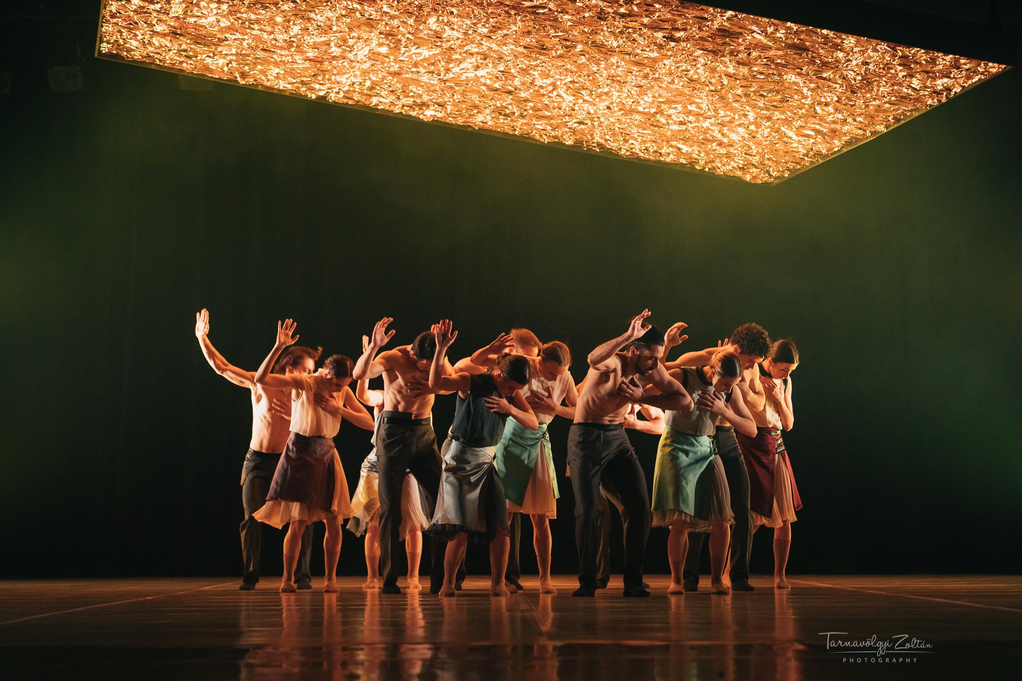 Danza 2