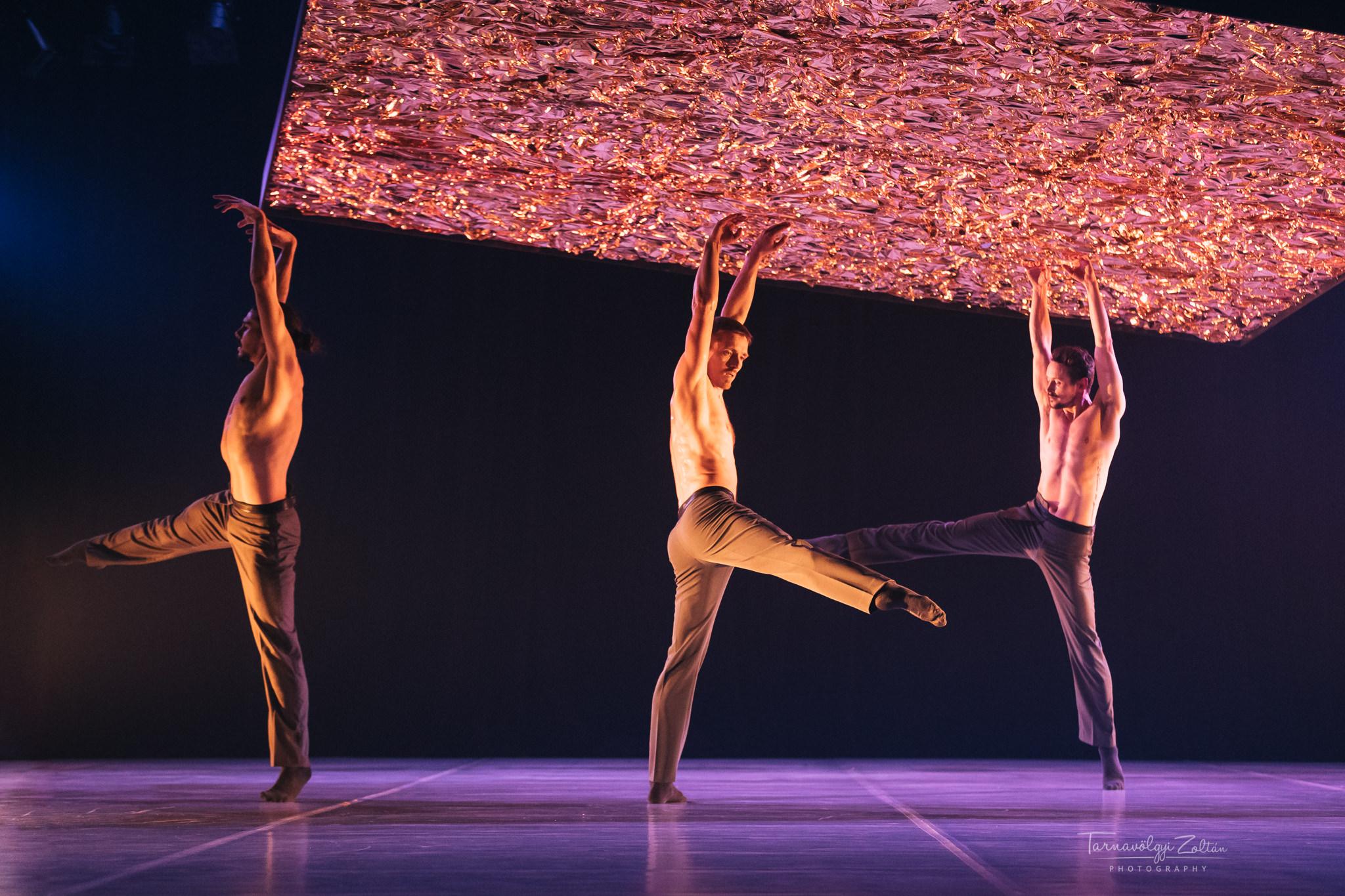 Danza 4