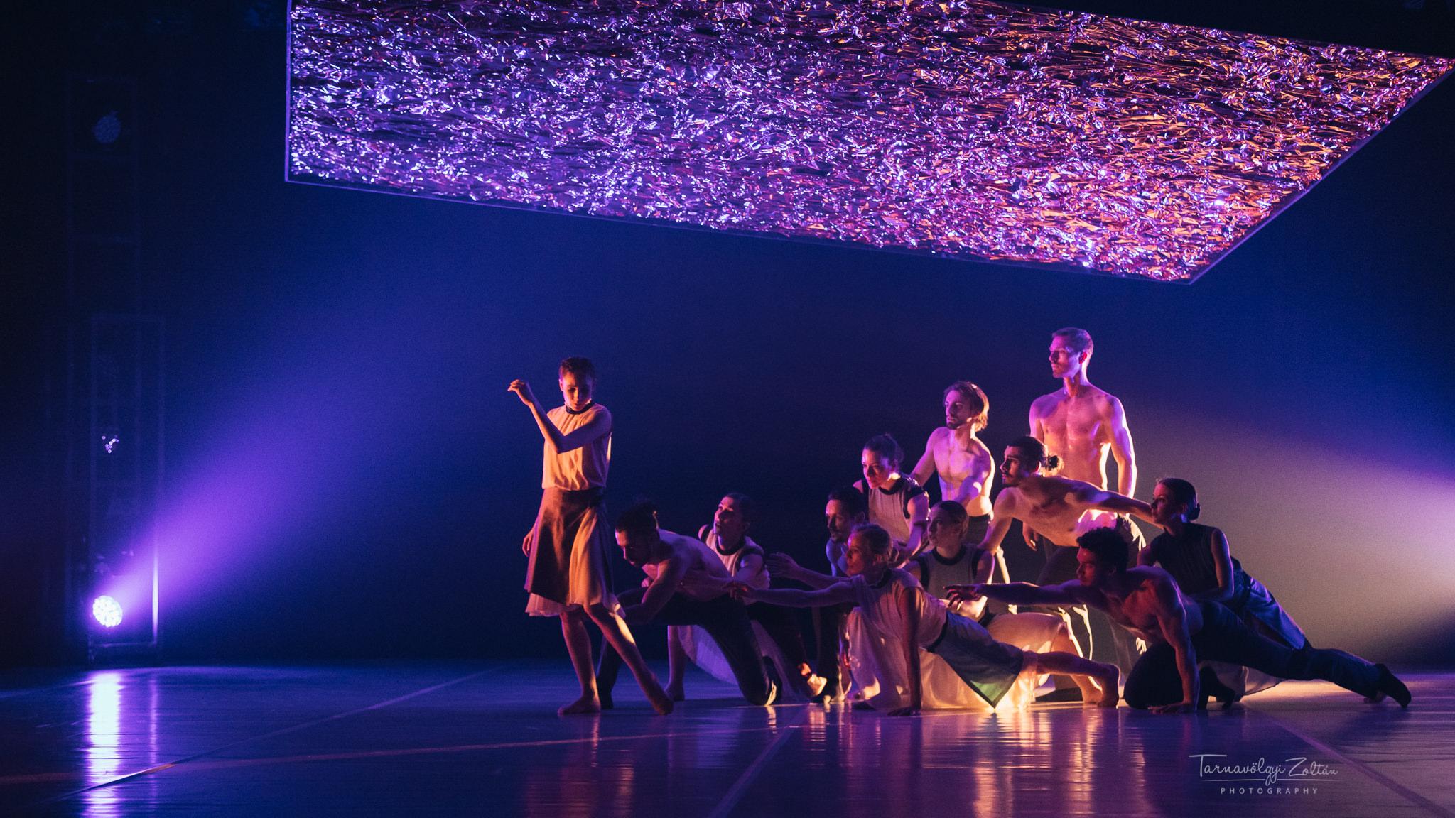 Danza fotógaléria képe 4