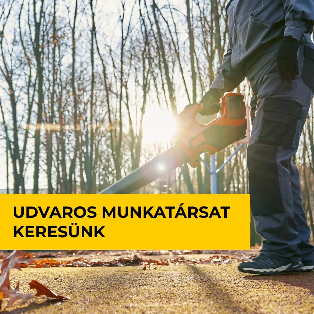 Munkatársat keresünk! hír képe Munkatársat keresünk! hír képe