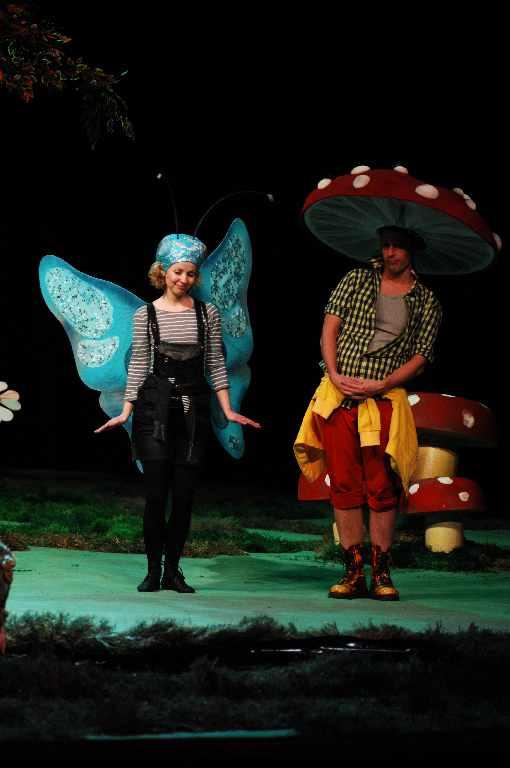 Ágacska 1 Ágacska 1