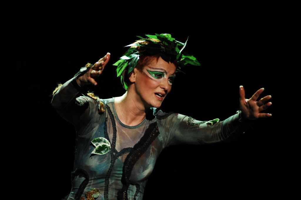 Ágacska 4 Ágacska 4