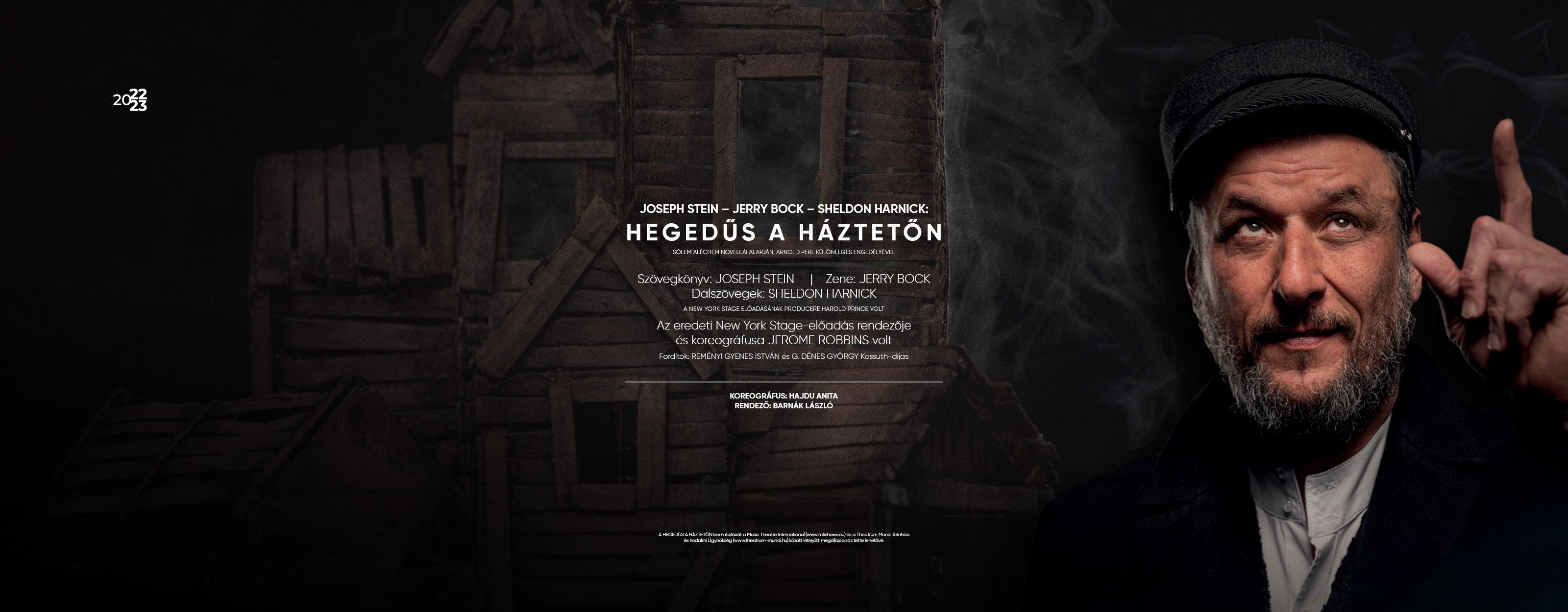 Hegedűs a háztetőn