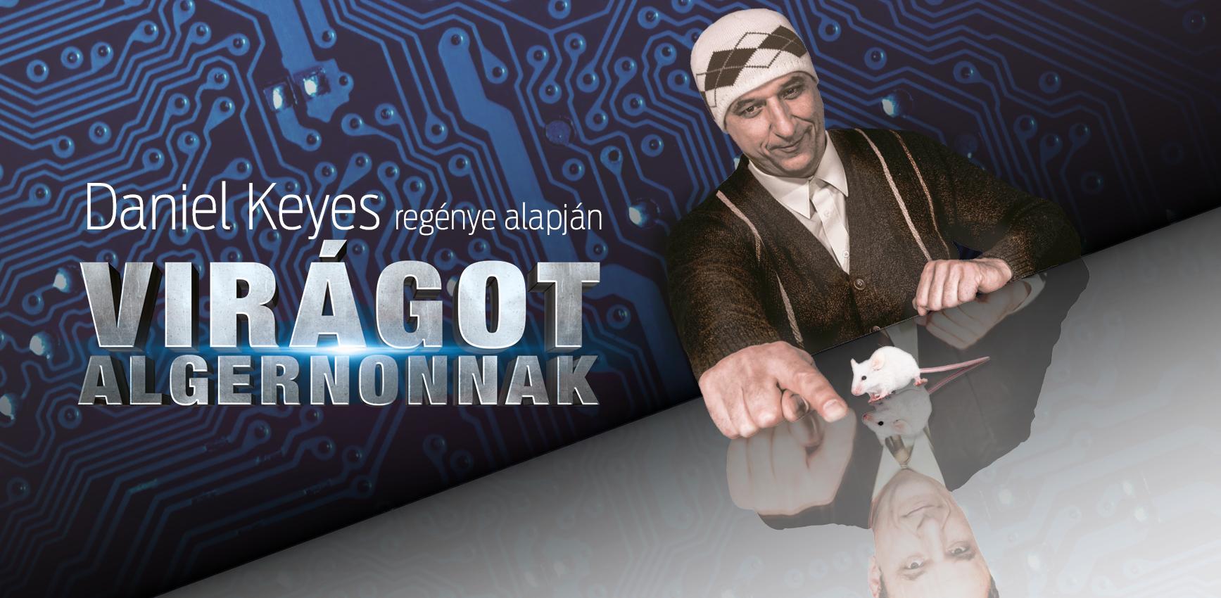 Virágot Algernonnak